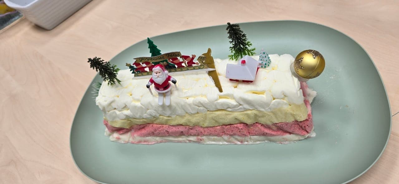 Bûche glacée aux fruits